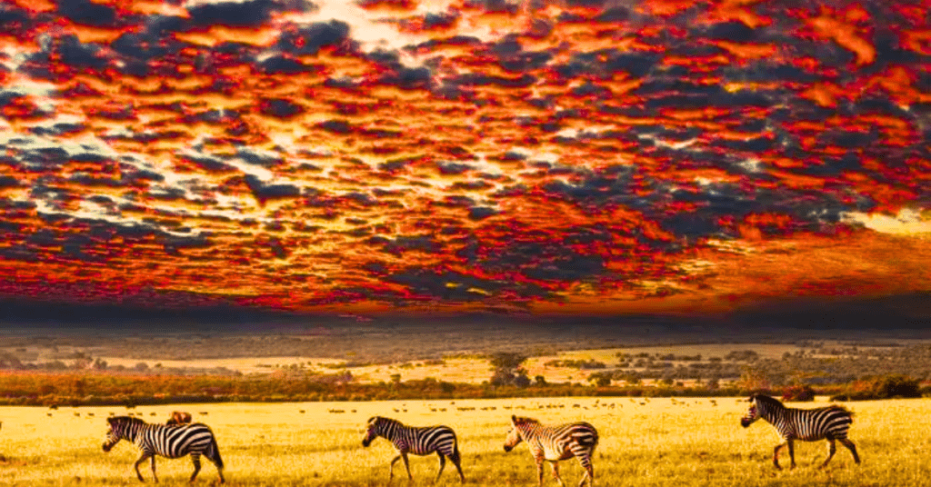 Serengeti National Park, Tanzania