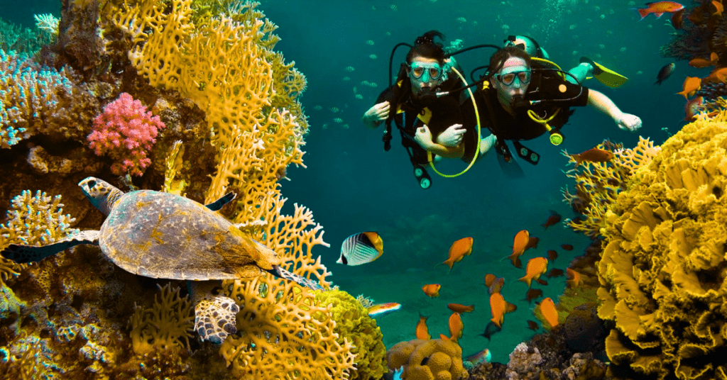 Snorkeling